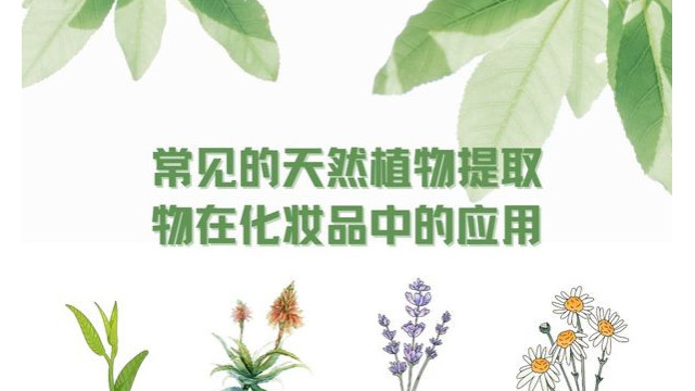 常见的天然植物提取物在化妆品中的应用 常见的天然植物提取物在化妆品中的应用