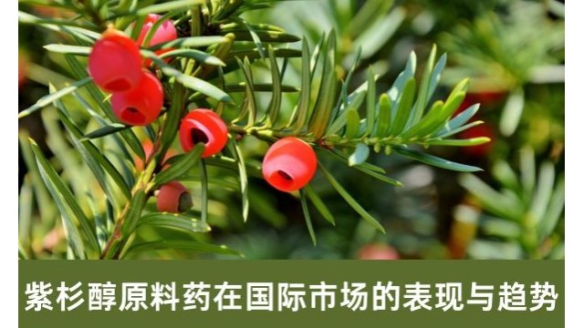 紫杉醇原料药在国际市场的表现与趋势 紫杉醇原料药在国际市场的表现与趋势