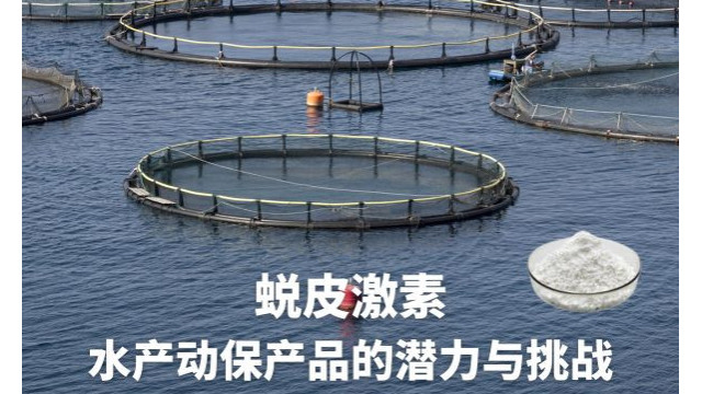 蜕皮激素:水产动保产品的潜力与挑战 蜕皮激素:水产动保产品的潜力与挑战