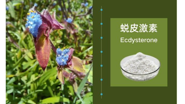蜕皮激素作为水产养殖虾蟹脱壳原料的用法与用量 蜕皮激素作为水产养殖虾蟹脱壳原料的用法与用量