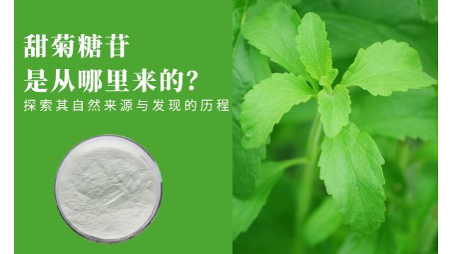 甜菊糖苷是从哪里来的?探索其自然来源与发现的历程 甜菊糖苷是从哪里来的?探索其自然来源与发现的历程