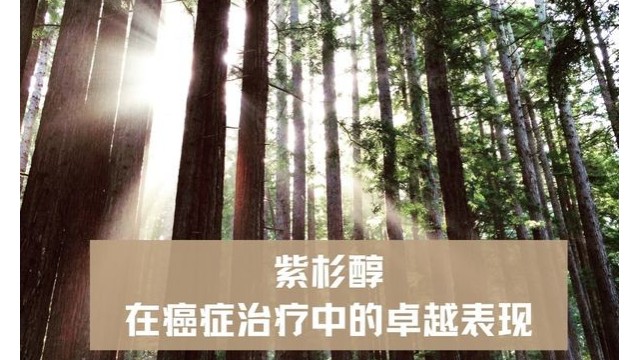 紫杉醇在癌症治疗中的卓越表现 紫杉醇在癌症治疗中的卓越表现