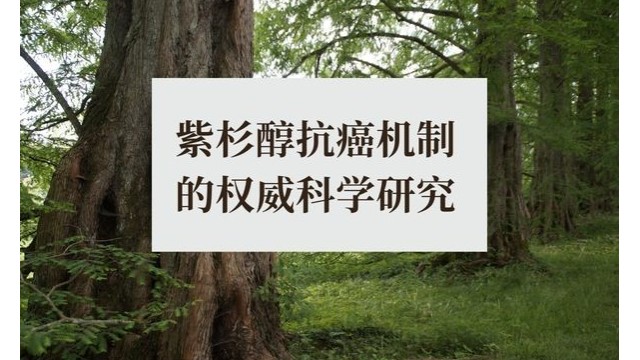 紫杉醇抗癌机制的权威科学研究 紫杉醇抗癌机制的权威科学研究