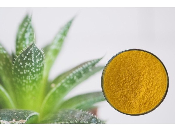 芦荟提取物 芦荟提取物
