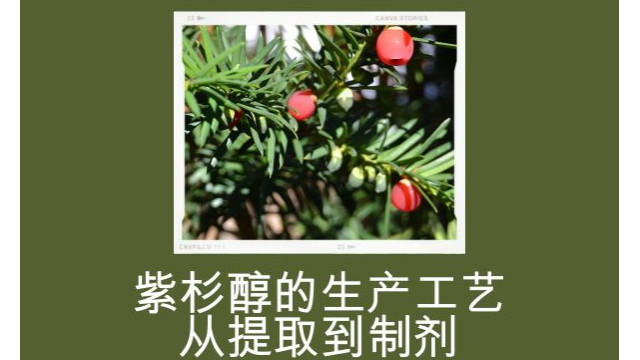 紫杉醇的生产工艺 紫杉醇的生产工艺