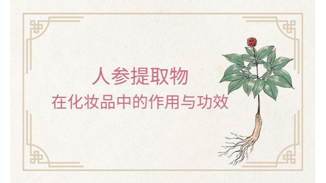 人参提取物在化妆品中的作用与功效 人参提取物在化妆品中的作用与功效