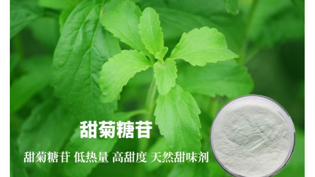 甜菊糖苷 甜菊糖苷