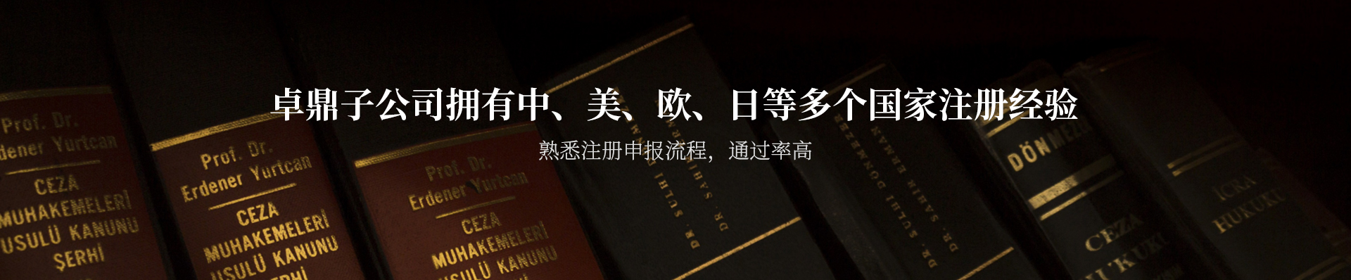 宝运莱子公司中美欧日等多个国家注册经验