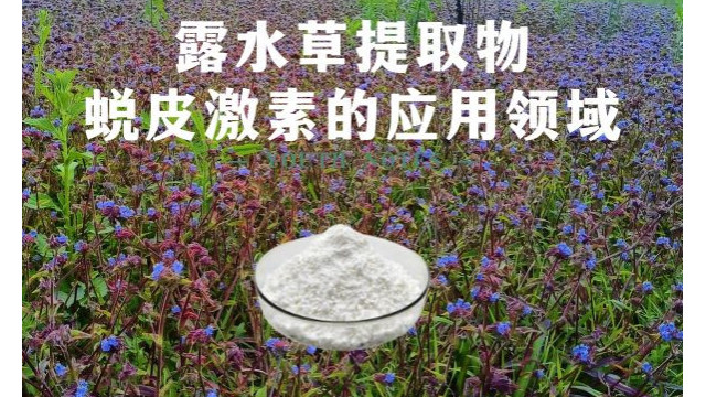 露水草提取物蜕皮激素的应用领域 露水草提取物蜕皮激素的应用领域