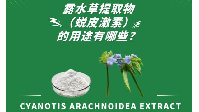 露水草提取物（蜕皮激素）的用途有哪些？