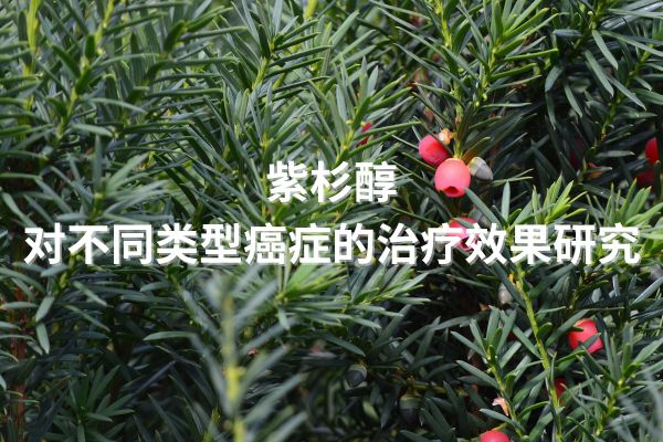 紫杉醇对不同类型癌症的治疗效果研究 紫杉醇对不同类型癌症的治疗效果研究