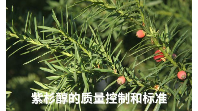 紫杉醇的质量控制和标准 紫杉醇的质量控制和标准