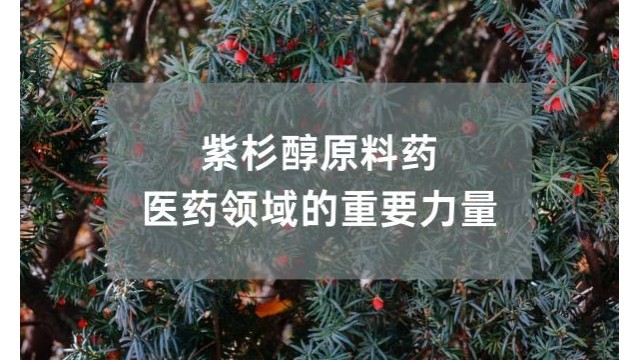 紫杉醇原料药:医药领域的重要力量 紫杉醇原料药:医药领域的重要力量