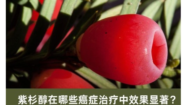 紫杉醇在哪些癌症治疗中效果显着? 紫杉醇在哪些癌症治疗中效果显着?