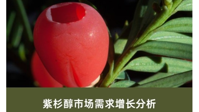 紫杉醇市场需求增长分析 紫杉醇市场需求增长分析