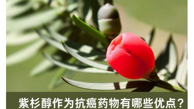 紫杉醇作为抗癌药物有哪些优点? 紫杉醇作为抗癌药物有哪些优点?