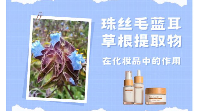 珠丝毛蓝耳草根提取物在化妆品中的作用 珠丝毛蓝耳草根提取物在化妆品中的作用