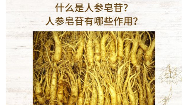 什么是人参皂苷?人参皂苷有哪些作用? 什么是人参皂苷?人参皂苷有哪些作用?