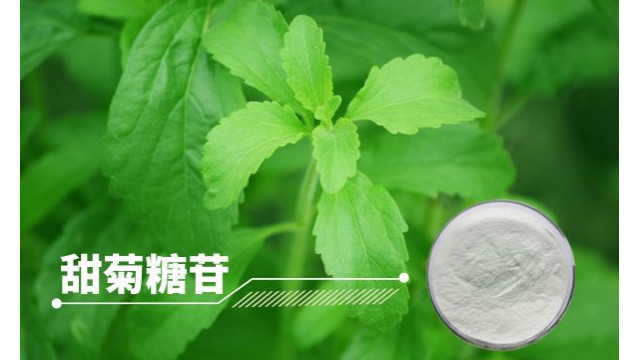 甜菊糖苷 甜菊糖苷