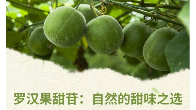 罗汉果甜苷,自然的甜味之选 罗汉果甜苷,自然的甜味之选