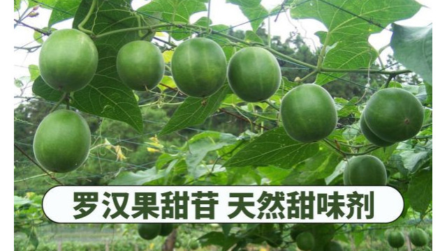 罗汉果甜苷 天然甜味剂 罗汉果甜苷 天然甜味剂