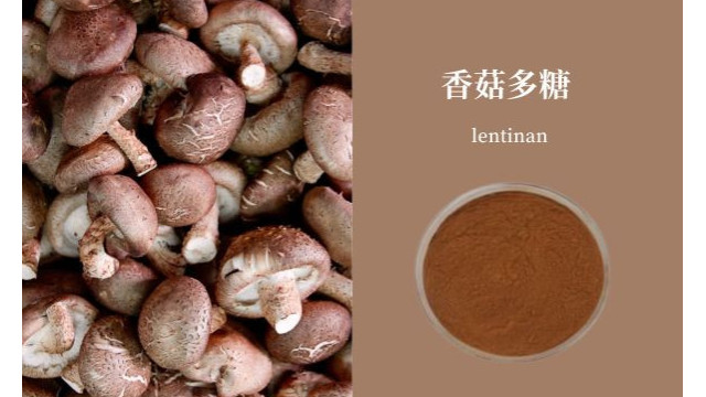 香菇多糖 香菇多糖