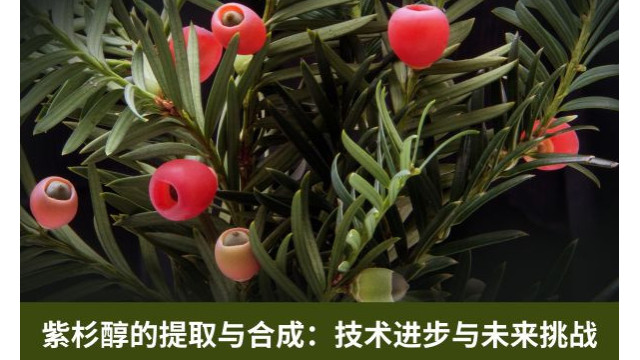 紫杉醇的提取与合成:技术进步与未来挑战 紫杉醇的提取与合成:技术进步与未来挑战