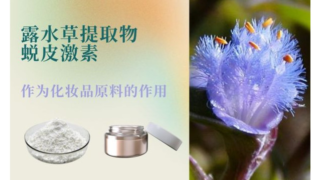 露水草提取物蜕皮激素作为化妆品原料的作用 露水草提取物蜕皮激素作为化妆品原料的作用