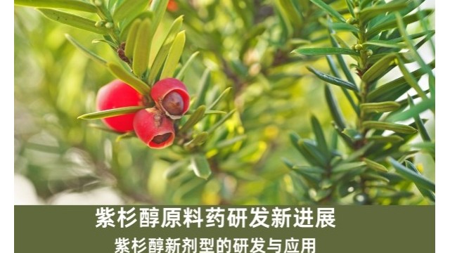 紫杉醇原料药研发新进展：紫杉醇新剂型的研发与应用