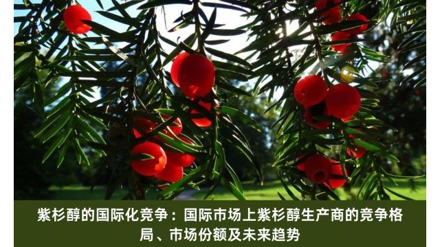 紫杉醇的国际化竞争:国际市场上紫杉醇生产商的竞争格局、市场份额及未来趋势 紫杉醇的国际化竞争:国际市场上紫杉醇生产商的竞争格局、市场份额及未来趋势