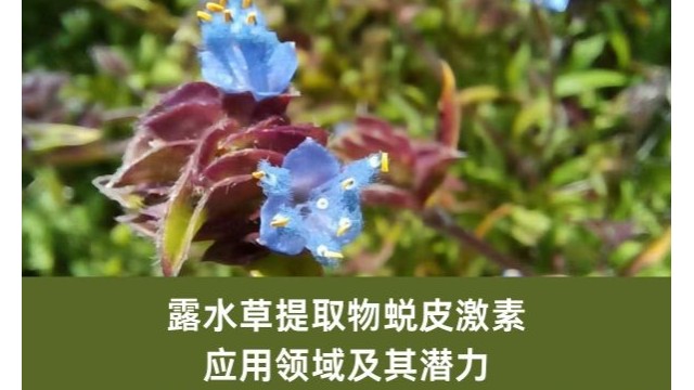 露水草提取物蜕皮激素:应用领域及其潜力 露水草提取物蜕皮激素:应用领域及其潜力