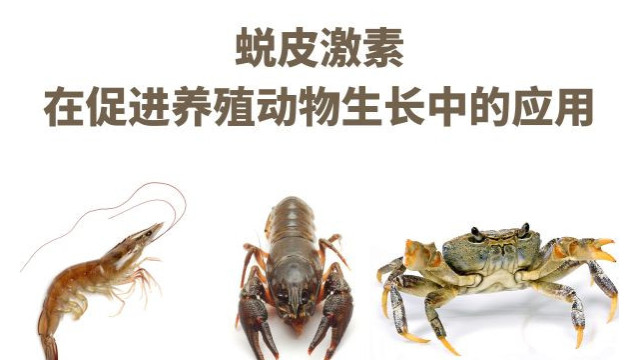 蜕皮激素在促进养殖动物生长中的应用 蜕皮激素在促进养殖动物生长中的应用