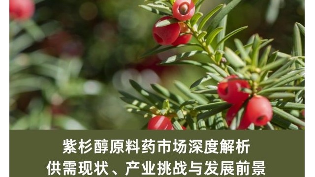紫杉醇原料药市场深度解析:供需现状、产业挑战与发展前景 紫杉醇原料药市场深度解析:供需现状、产业挑战与发展前景