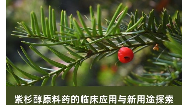 紫杉醇原料药的临床应用与新用途探索 紫杉醇原料药的临床应用与新用途探索