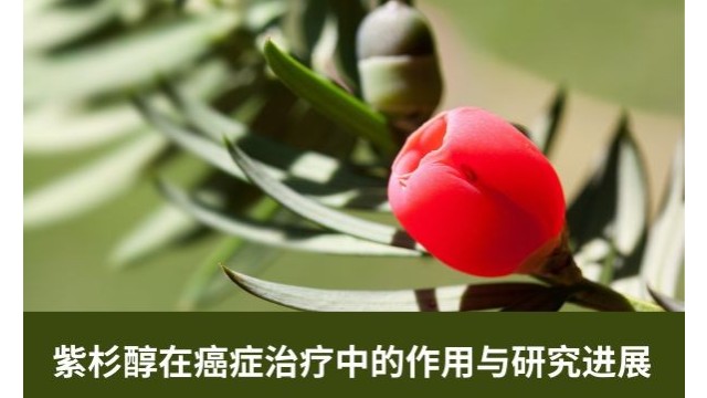 紫杉醇在癌症治疗中的作用与研究进展 紫杉醇在癌症治疗中的作用与研究进展