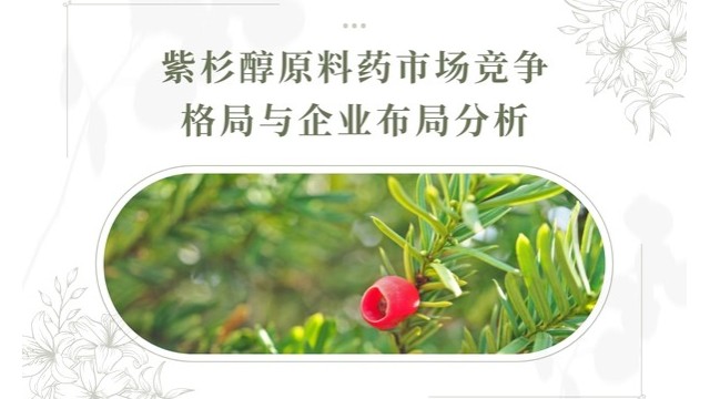 紫杉醇原料药市场竞争格局与企业布局分析 紫杉醇原料药市场竞争格局与企业布局分析