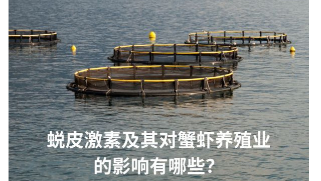蜕皮激素及其对蟹虾养殖业的影响有哪些? 蜕皮激素及其对蟹虾养殖业的影响有哪些?