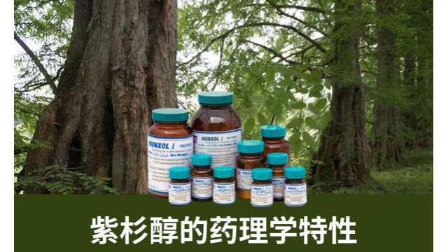 紫杉醇的药理学特性 紫杉醇的药理学特性