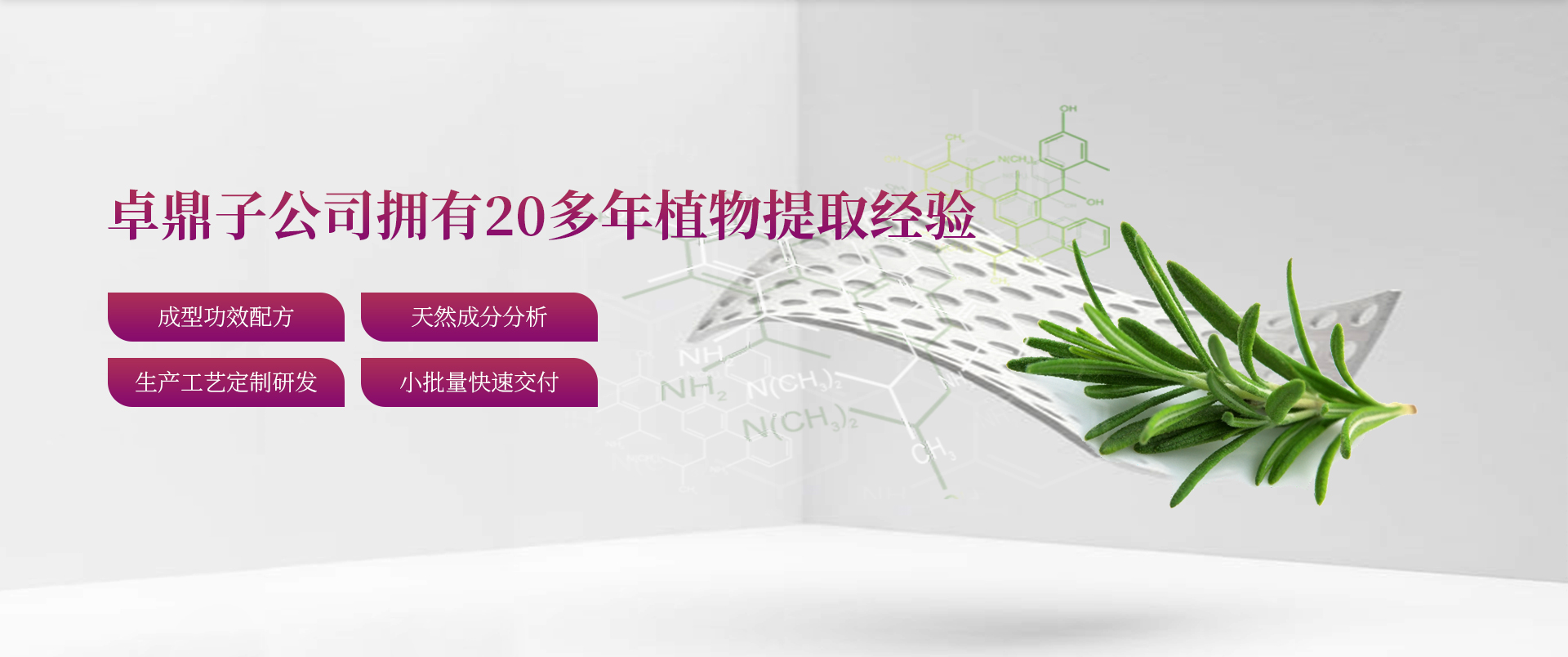宝运莱子公司拥有20多年植物提取经验