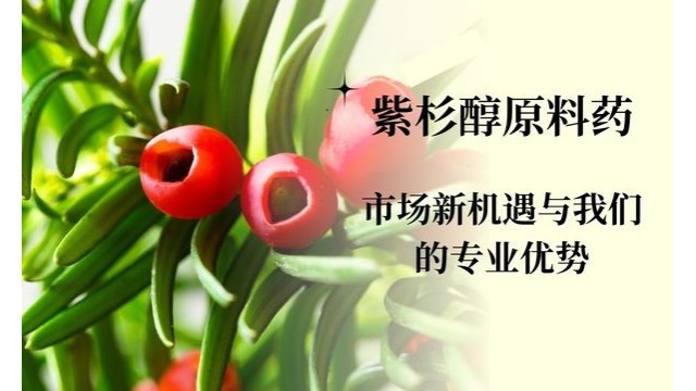 紫杉醇原料药:市场新机遇与宝运莱的专业优势 紫杉醇原料药:市场新机遇与宝运莱的专业优势