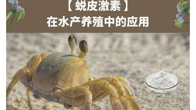 蜕皮激素在水产养殖中的应用 蜕皮激素在水产养殖中的应用