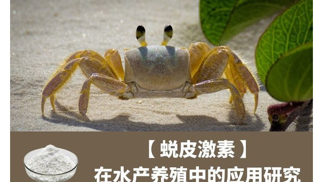 蜕皮激素在水产养殖中的应用研究 蜕皮激素在水产养殖中的应用研究