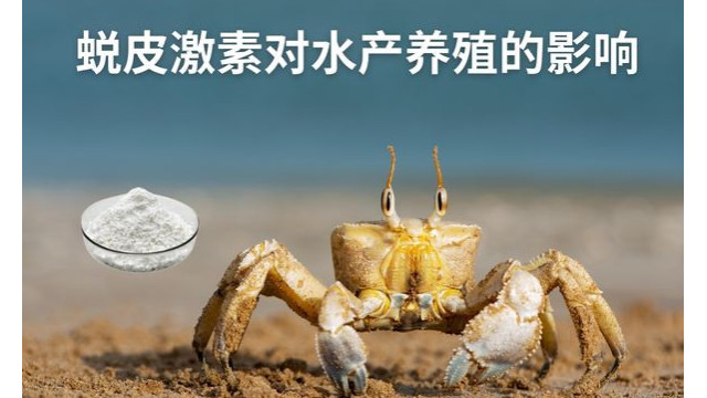 蜕皮激素对水产养殖的影响 蜕皮激素对水产养殖的影响
