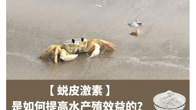 蜕皮激素是如何提高水产殖效益的? 蜕皮激素是如何提高水产殖效益的?