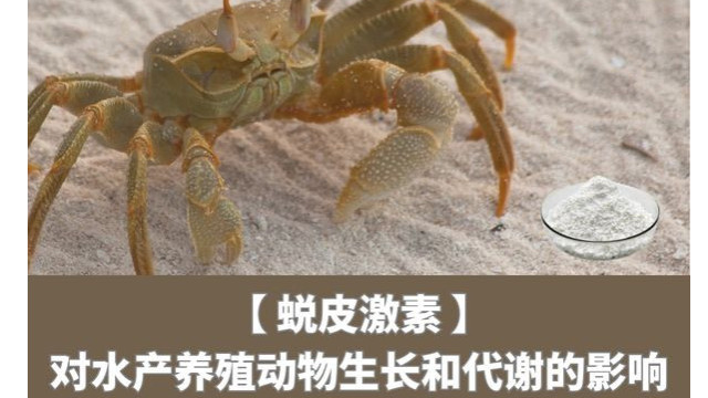 蜕皮激素对水产养殖动物生长和代谢的影响 蜕皮激素对水产养殖动物生长和代谢的影响