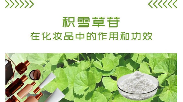 化妆品中积雪草苷的作用和功效 化妆品中积雪草苷的作用和功效