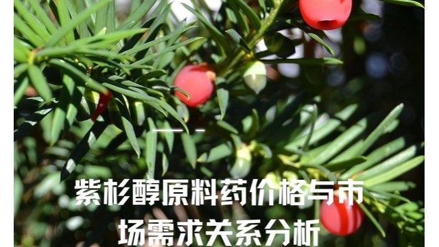 紫杉醇原料药价格与市场需求关系分析 紫杉醇原料药价格与市场需求关系分析