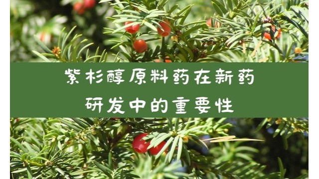 紫杉醇原料药在新药研发中的重要性 紫杉醇原料药在新药研发中的重要性
