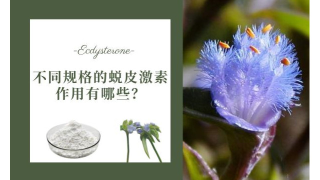 不同规格的蜕皮激素作用有哪些? 不同规格的蜕皮激素作用有哪些?