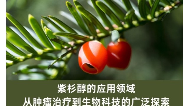 紫杉醇的应用领域:从肿瘤治疗到生物科技的广泛探索 紫杉醇的应用领域:从肿瘤治疗到生物科技的广泛探索